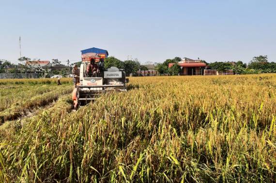 Nông nghiệp Kim Sơn hướng tới nâng cao giá trị gia tăng và phát triển bền vững