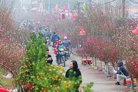 THÔNG BÁO tổ chức Chợ hoa - Xuân Quý Mão 2023