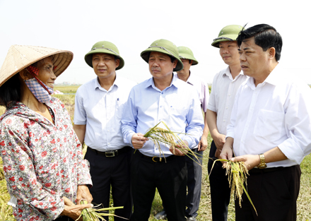 Thứ trưởng Bộ Nông nghiệp và phát triển nông thôn kiểm tra công tác phòng chống bão số 7 tại tỉnh Ninh Bình