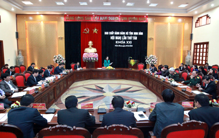 Hội nghị lần thứ 8, Ban chấp hành Đảng bộ tỉnh khóa XXI